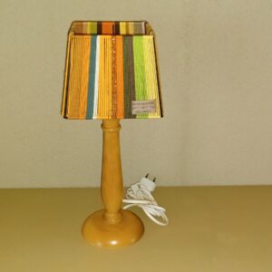 Een keer wat anders lampje (alleen lampenkap)
